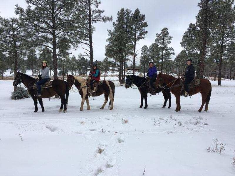 Adair Springs Cabin パイントップ・レイクサイド エクステリア 写真
