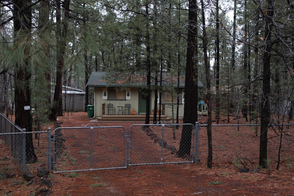 Adair Springs Cabin パイントップ・レイクサイド エクステリア 写真