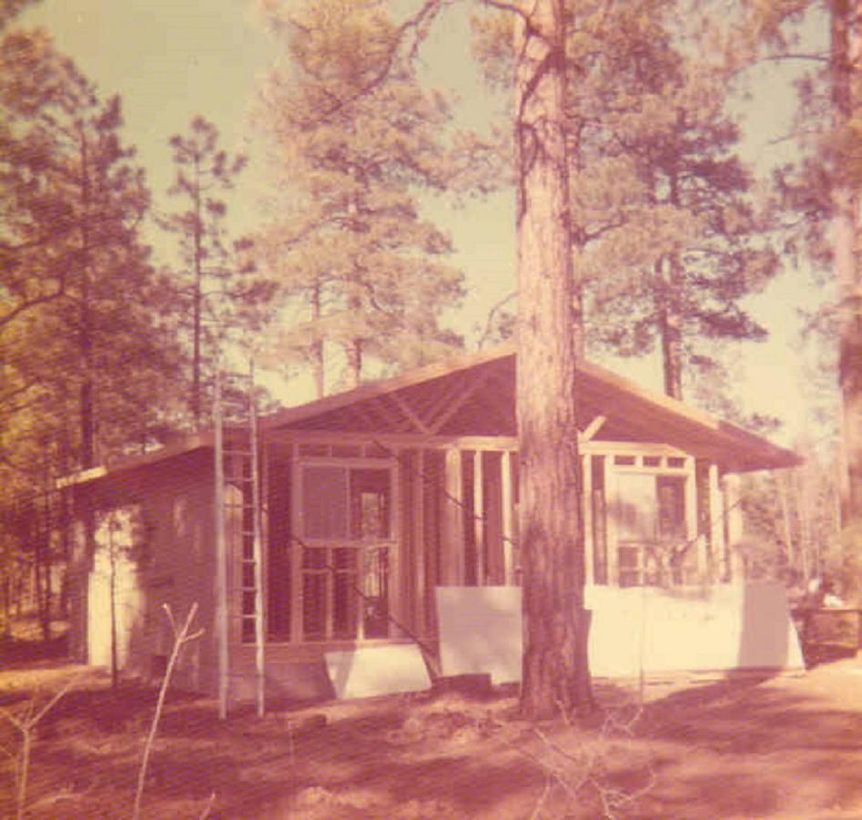 Adair Springs Cabin パイントップ・レイクサイド エクステリア 写真