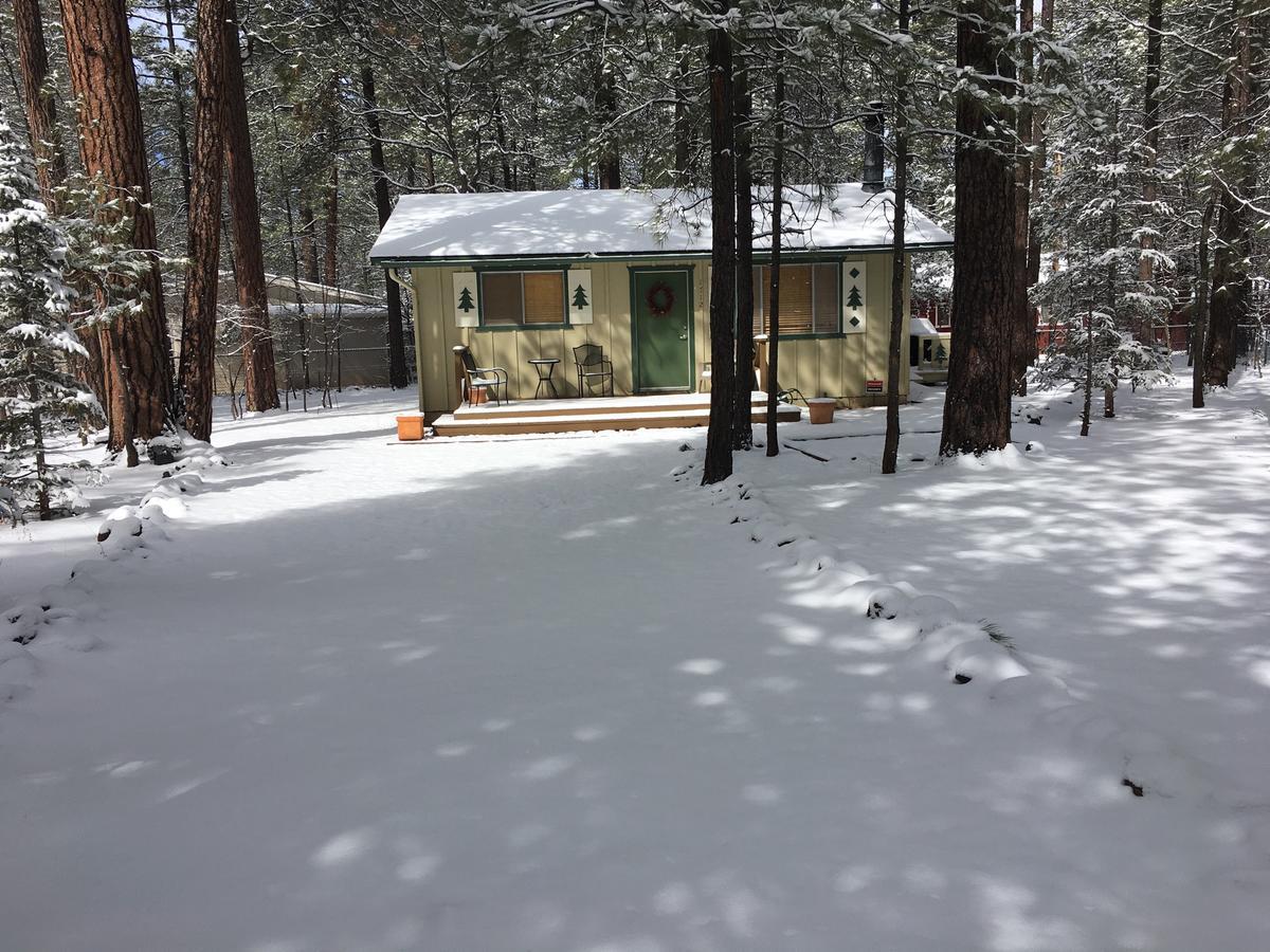Adair Springs Cabin パイントップ・レイクサイド エクステリア 写真
