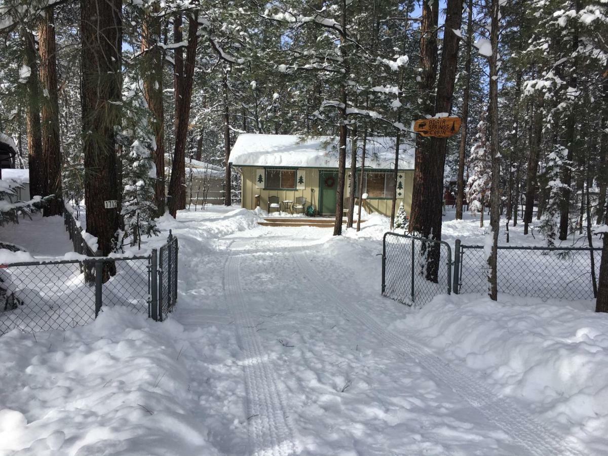 Adair Springs Cabin パイントップ・レイクサイド エクステリア 写真